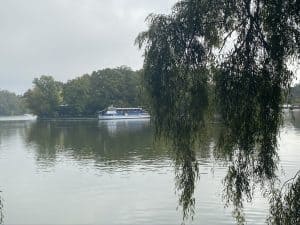 ANGEL NUMBER 1138 (Symbolism & Meaning) – SEEING 1138