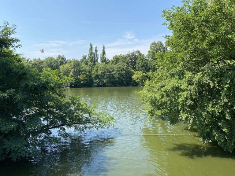 ANGEL NUMBER Meanings & Symbolism - ANGEL NUMBERS